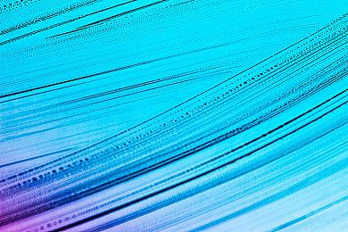 微软或推出低价版XGP 广告将为服务的一部分